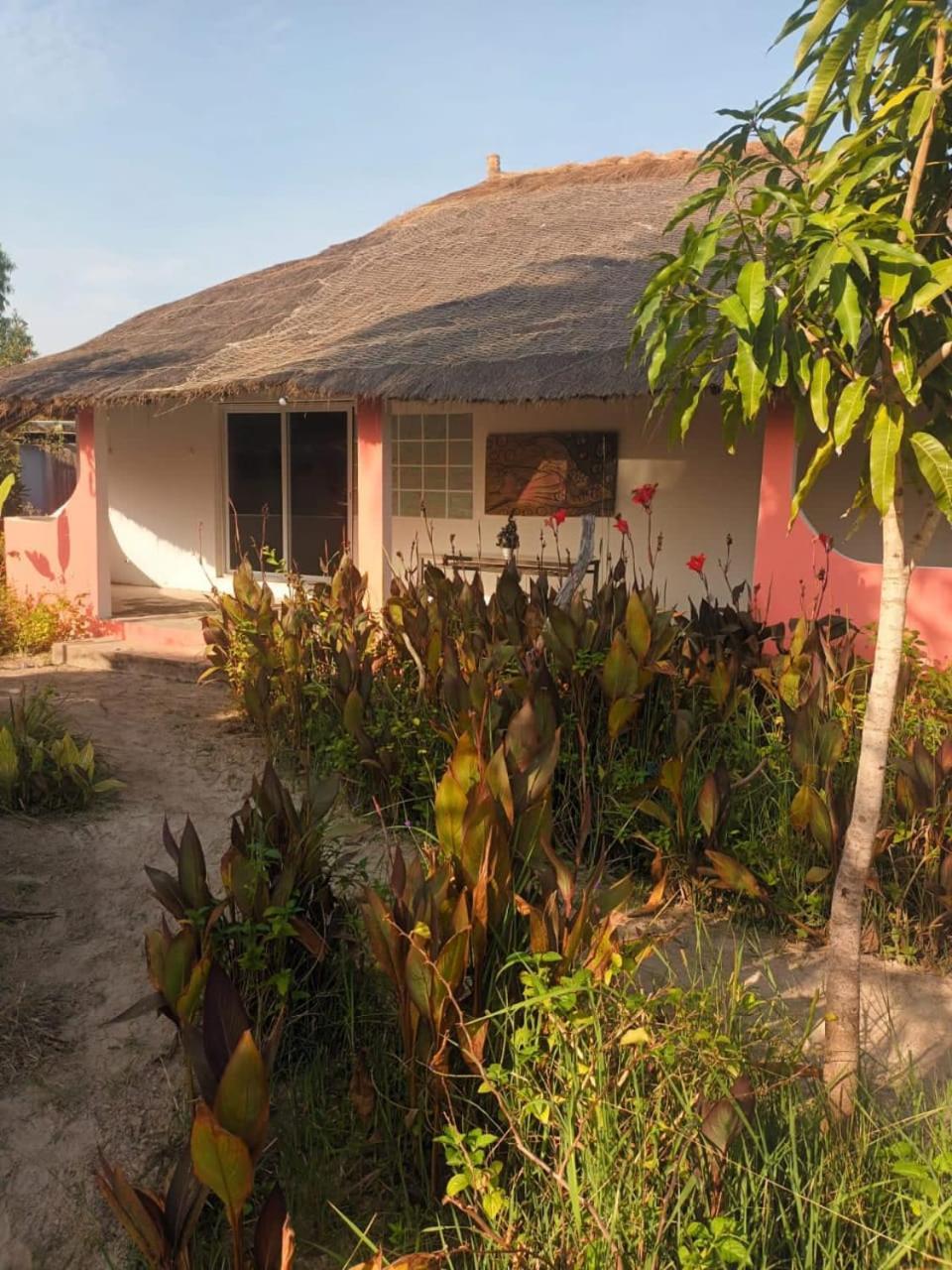 Campement Graine De Paradis Kachiouane Extérieur photo